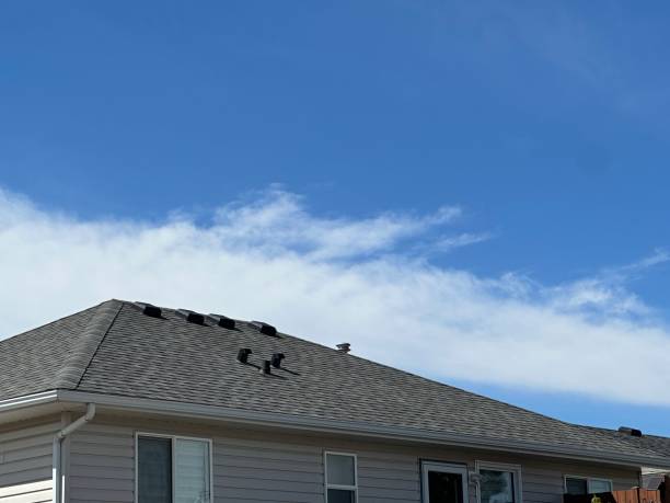 Fast & Reliable Emergency Roof Repairs in Steubenville, OH